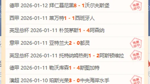 华体会体育娱乐