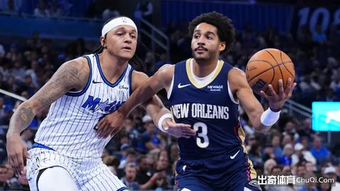 华体会体育娱乐